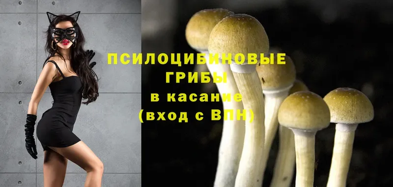 Галлюциногенные грибы Cubensis  Дюртюли 